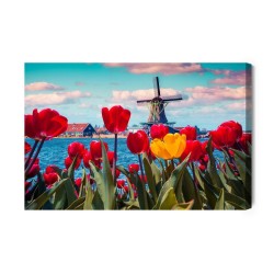 Leinwandbild Tulpen Auf Einem Holländischen Windmühlenhintergrund