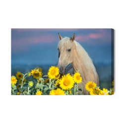 Leinwandbild Pferd Und Sonnenblumen