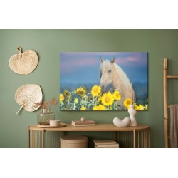 Leinwandbild Pferd Und Sonnenblumen