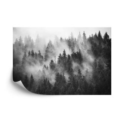 Fototapete Wald Im Nebel Schwarz  Weiß