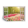 Fototapete Window With Beautiful Spring Tulips Flowers Garden In Netherlands.