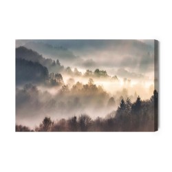Leinwandbild Mist In Forest With Sunbeam Rays  Woods Landscape