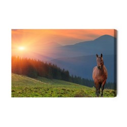 Leinwandbild Pferd Auf Dem Hintergrund Des Sonnenuntergangs