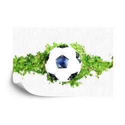 Fototapete 3D-Fußball