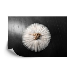 Fototapete Ballettschuhe Auf Einem Weißen Ballettröckchen