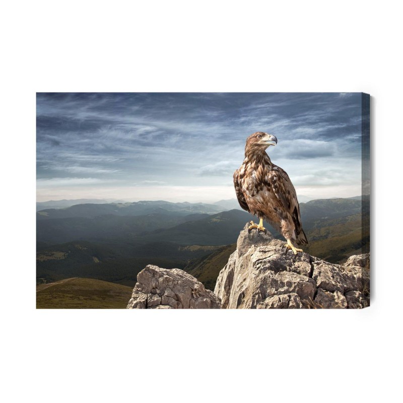 Leinwandbild Adler Oben Auf Dem Berg