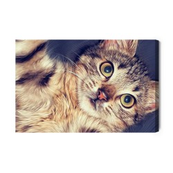 Leinwandbild Ein Wunderschönes Katzenporträt Wie Gemalt