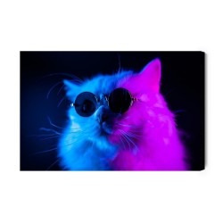 Leinwandbild Katze Mit Sonnenbrille