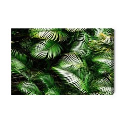 Leinwandbild Grüne Palmblätter