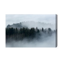 Leinwandbild In Nebel Gehüllte Bäume