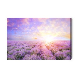 Leinwandbild Pastellfarbenes Lavendelfeld