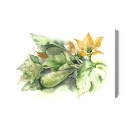 Leinwandbild Zucchini Mit Blumen Gemalt Mit Aquarell