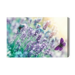 Leinwandbild Lavendel Und Schmetterlinge