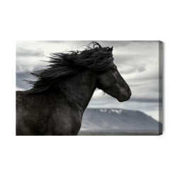 Leinwandbild Schwarzes Pferd Auf Einem Hintergrund Von Wolken