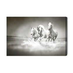 Leinwandbild Pferde In Schwarz Und Weiß