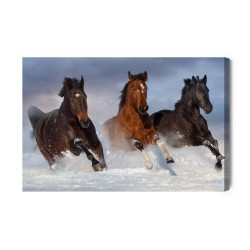 Leinwandbild Galoppierende Pferde Im Winter