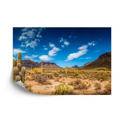 Fototapete Landschaft Wüste