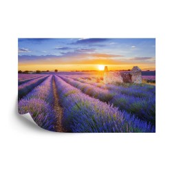 Fototapete Landschaft Feld Lavendel