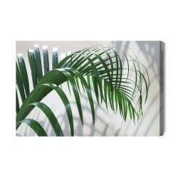 Leinwandbild Grünes Palmblatt Mit 3D-Effekt