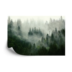 Fototapete Wald Im Nebel