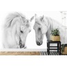 Fototapete Zwei Weiße Pferde