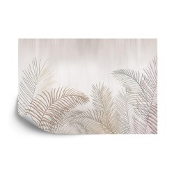 Fototapete Palmenblätter Auf Hellem Hintergrund