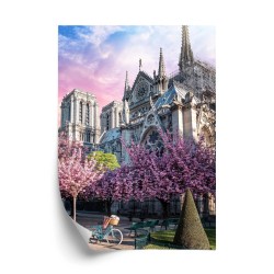 Poster Kathedrale Notre Dame De Paris Bei Sonnenaufgang Und Kirschblüten