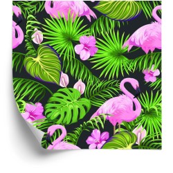 Tapete Tropisch - Flamingos  Blätter Und Blumen