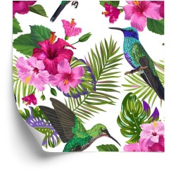 Tapete Tropik - Bunte Kolibris  Blätter Und Blumen