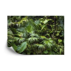 Fototapete Wunderschöne Palmblätter In Einem Tropischen Dschungel