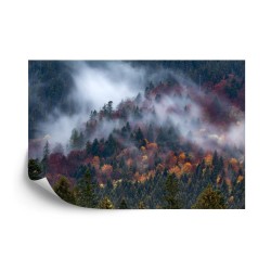 Fototapete Herbstwald Im Schönen Nebel
