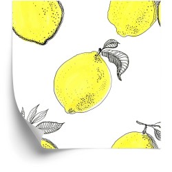 Tapete Zitronenfruchtblätter Für Die Küche