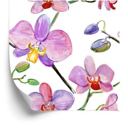 Tapete Orchideen Orchideen Blumen Pflanzen
