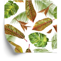 Tapete Tropische Palmblätter