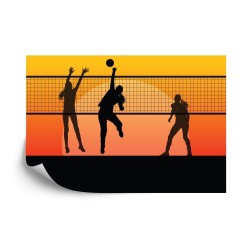 Fototapete Volleyballspieler Während Des Spiels