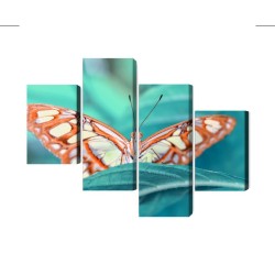 Mehrteiliges Bild Ein Schmetterling Auf Einem Blatt Im Makromaßstab