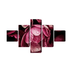 Mehrteiliges Bild Pfingstrosenblumen Hautnah 3D