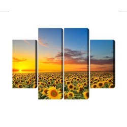Mehrteiliges Bild Sonnenuntergang Über Einem 3D-Sonnenblumenfeld