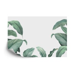Fototapete Tropical Leaves Frame