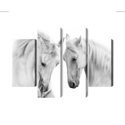 Mehrteiliges Bild Zwei Pferde Auf Weißem Hintergrund