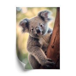 Poster Koala Auf Verschwommenem Hintergrund