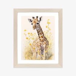 Poster Kleine Giraffe Auf Der Wiese
