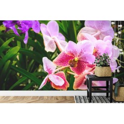 Fototapete Bunte Orchideen 3D