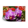 Fototapete Optisch Orchidee 3D