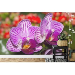 Fototapete Optisch Orchidee 3D