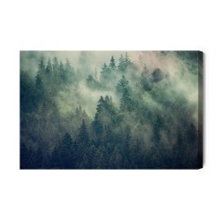Leinwandbild Misty Landscape With Fir Forest In Hipster Vintage Retro Style
