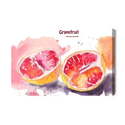 Leinwandbild Grapefruit Mit Aquarell Gemalt