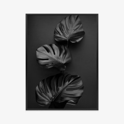 Poster Glänzende Dunkle Blätter Rahmen Aluminium Farbe Schwarz