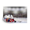 Fototapete Hockeyspieler-Set