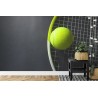 Fototapete Tennisball Auf Einem Schläger